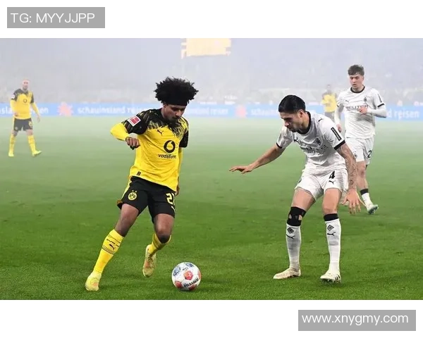 德甲精彩对决多特蒙德逆转国米点燃全场激情