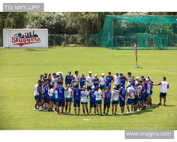 飞盘纪实：南京飞盘队成长历程与奋斗精神的真实记录